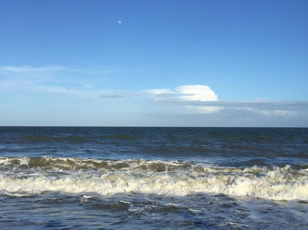 Folly Field Beach Park-希尔顿头岛必去景点