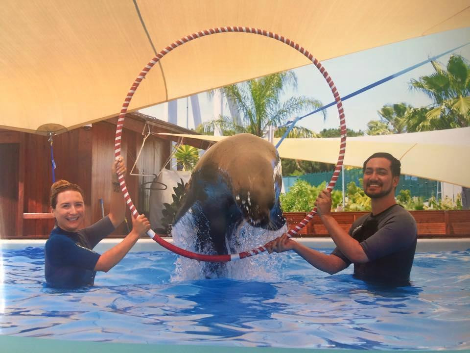 Swim With Sea Lions-夸尔泰拉必去景点