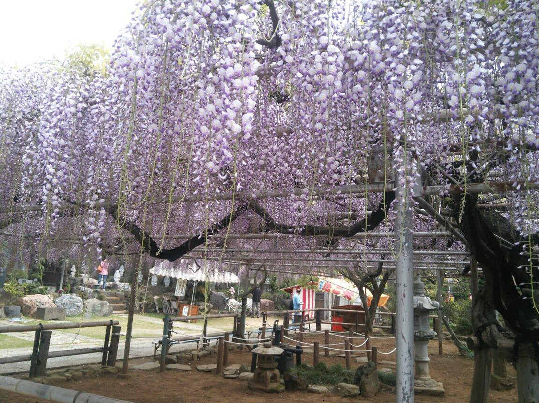 Koenji Temple-市川市必去景点