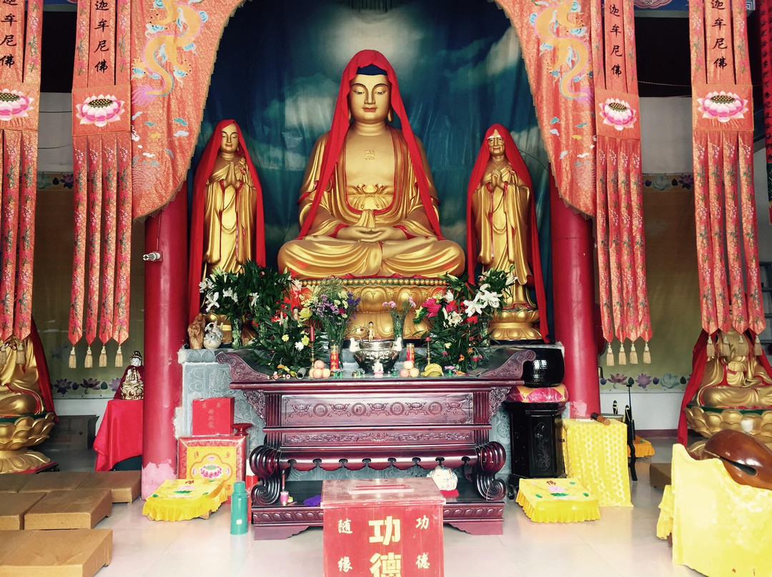 上窑森林公园-淮南市必去景点