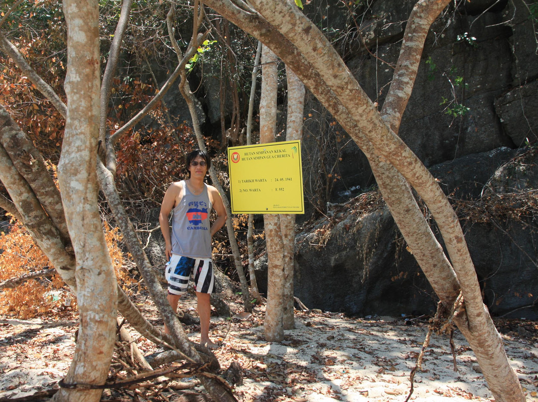 Langkawi Mangrove Tour - Day Tours景点图片