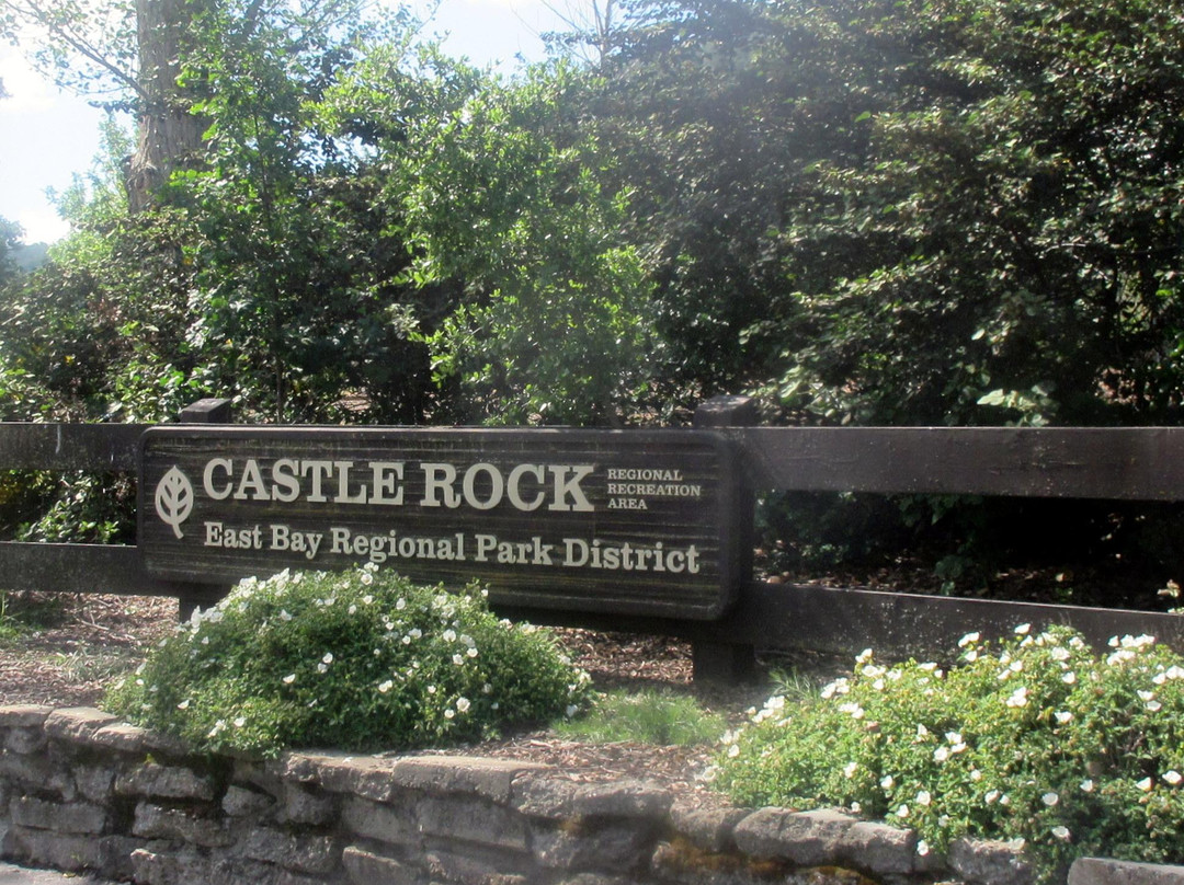 Castle Rock Regional Recreation Area-核桃溪必去景点