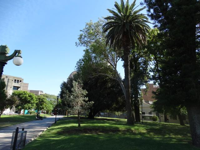 Plaza Alvear景点图片