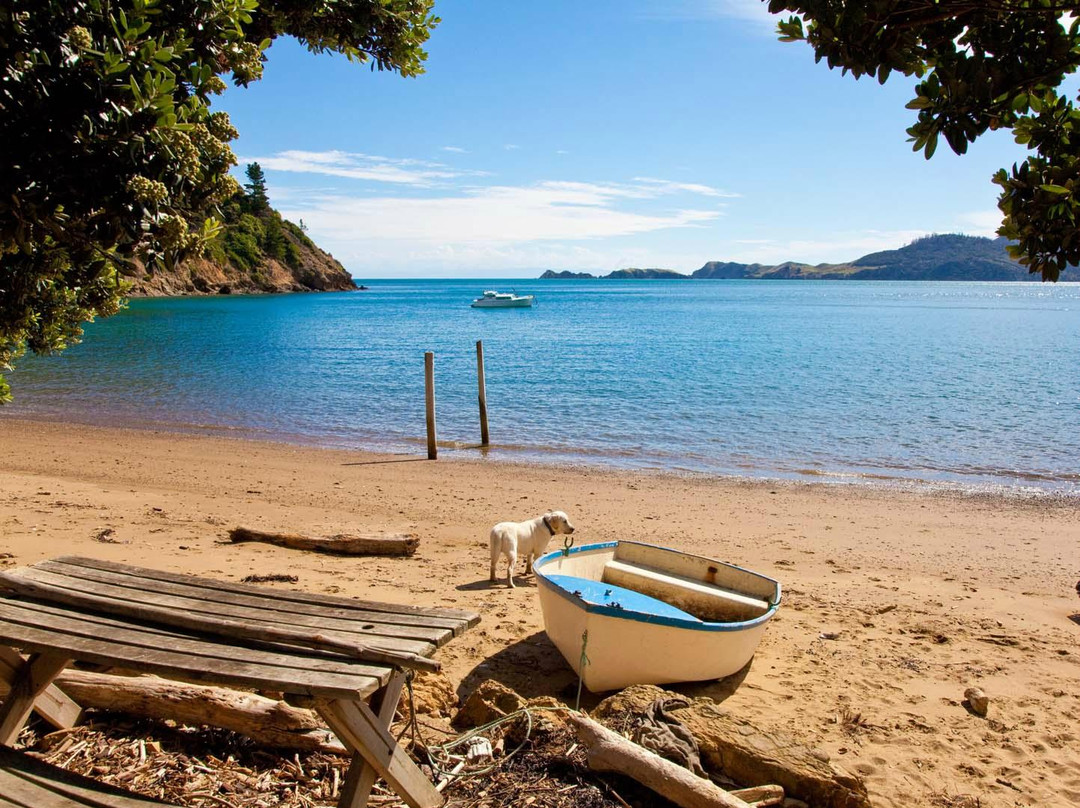 Ngaio Bay酒店住宿-Ngaio Bay Ecostay B&B