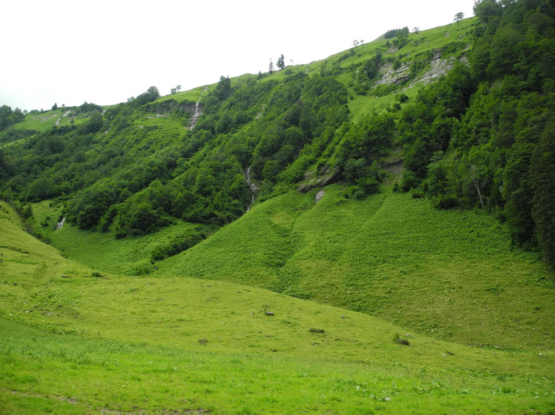 Bärgündele Alpe-Hinterstein必去景点