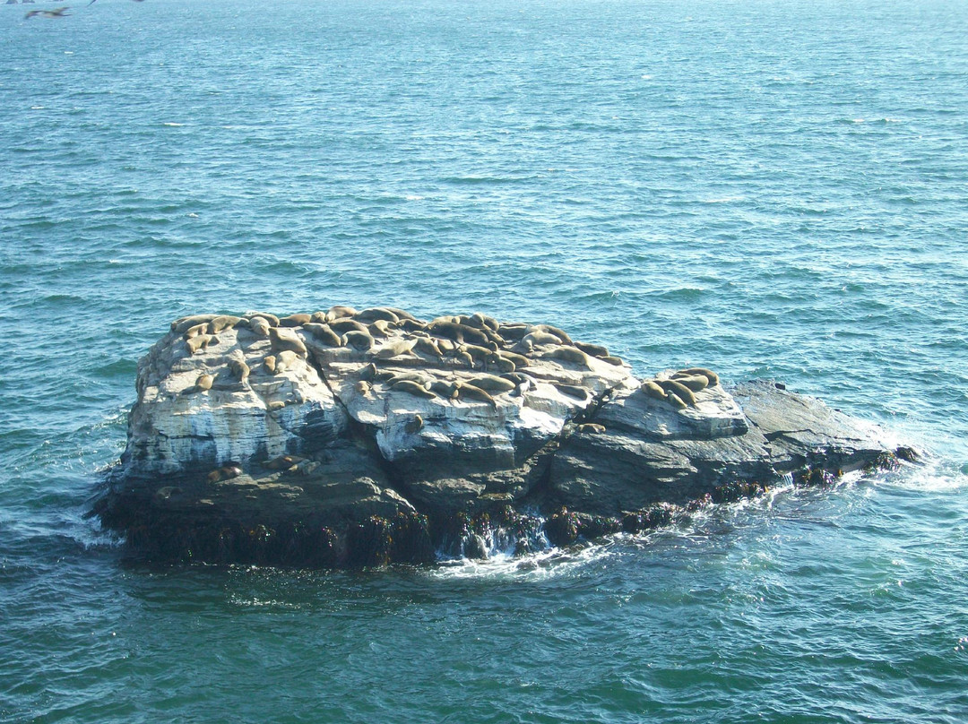 Mejillones旅游攻略图片