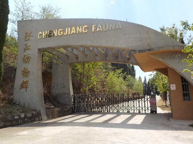 帽天山国家地质公园景点图片