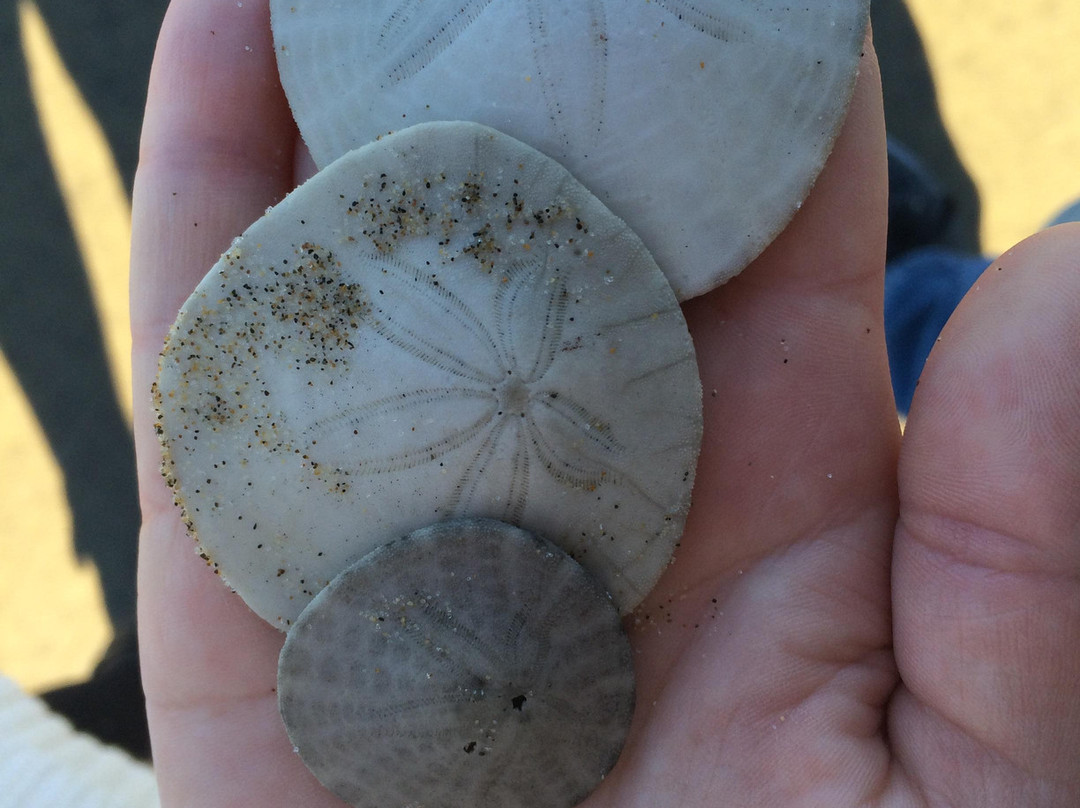 Manzanita Beach-Manzanita必去景点