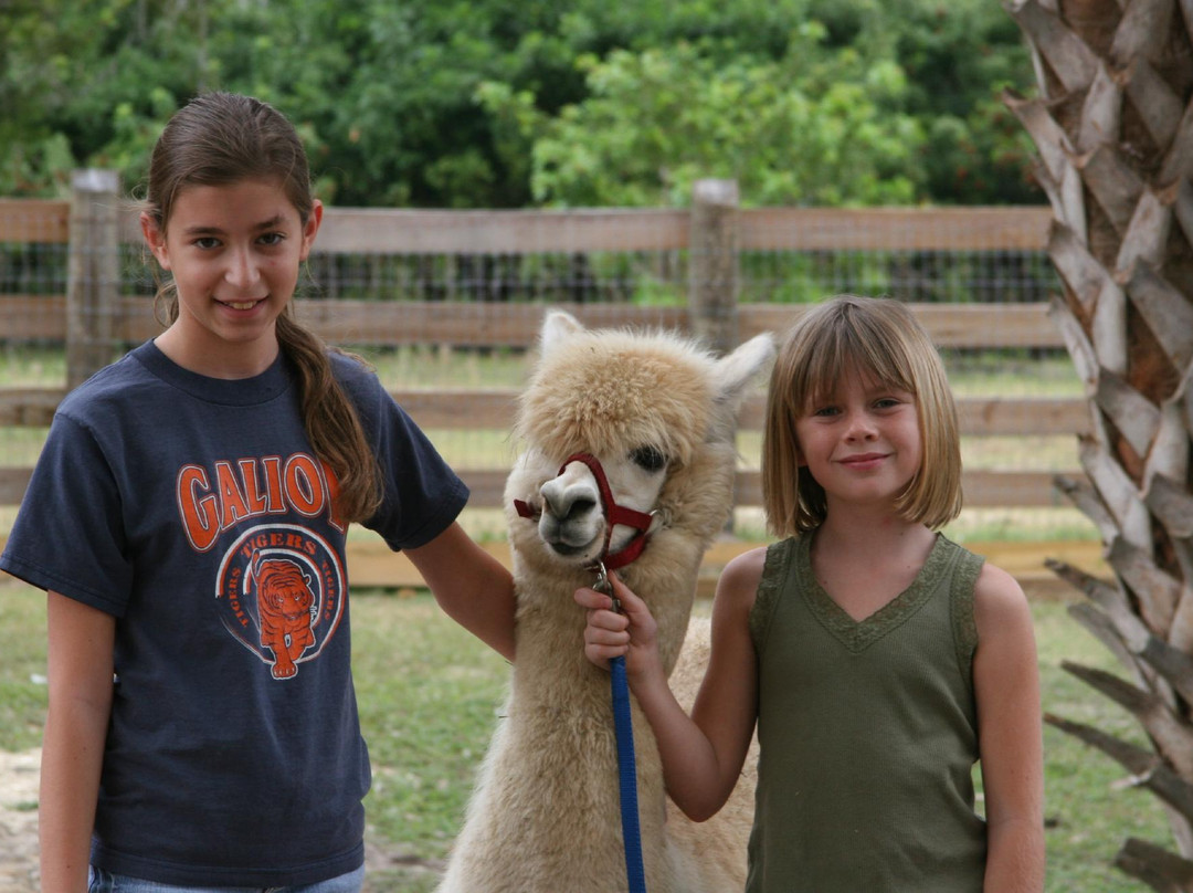 STARanch Alpaca Trek-Alva必去景点