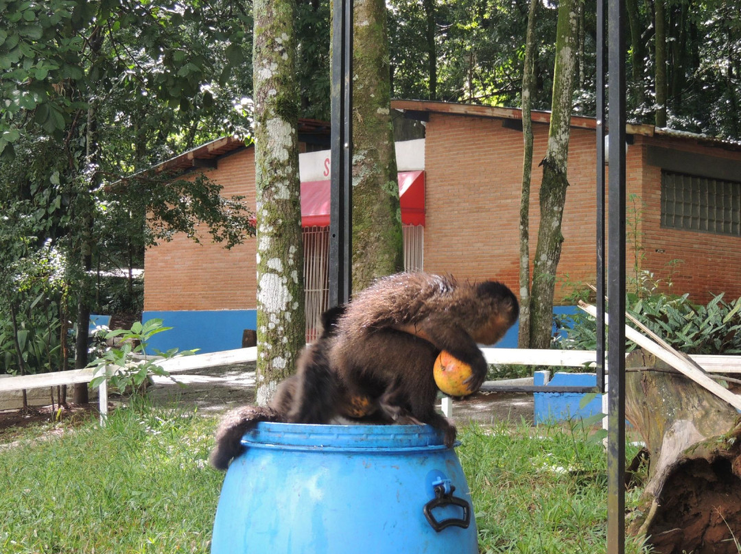 Bosque Estadual-Aguas da Prata必去景点