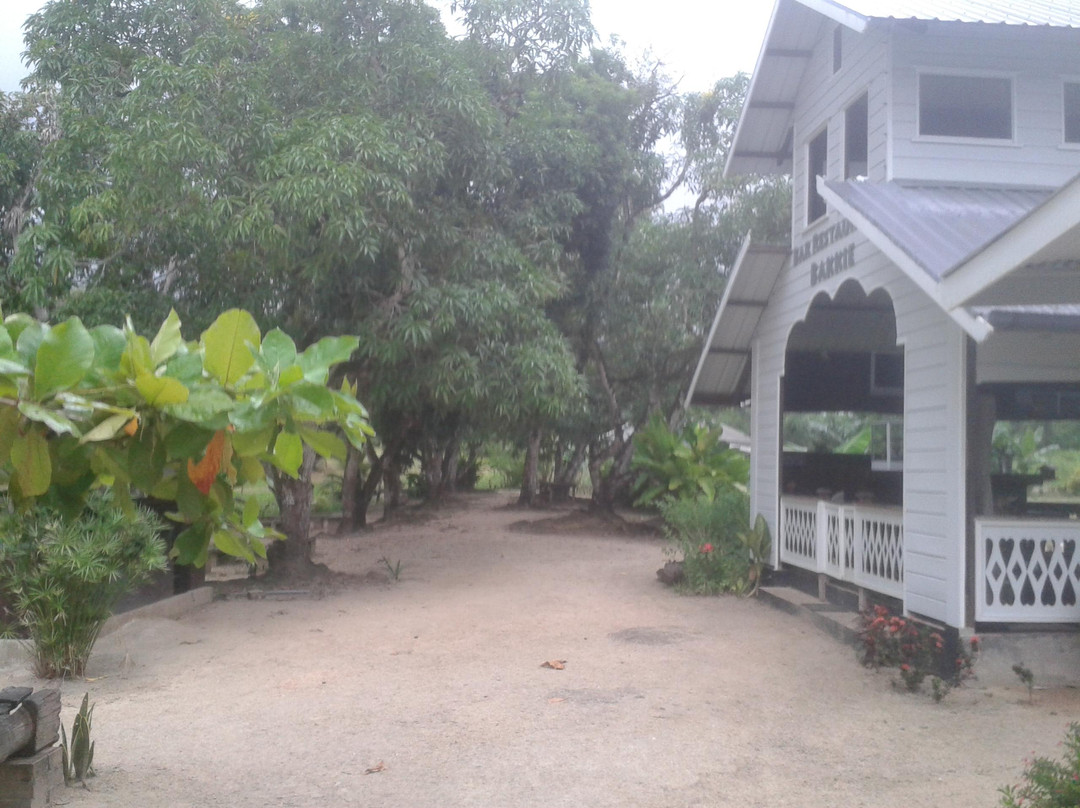 Commewijne River-帕拉马里博必去景点