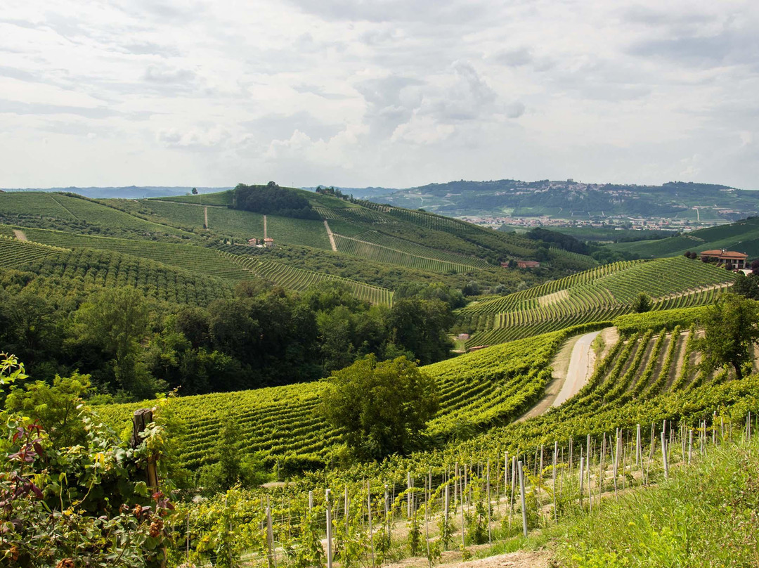 Cascina Bruciata景点图片