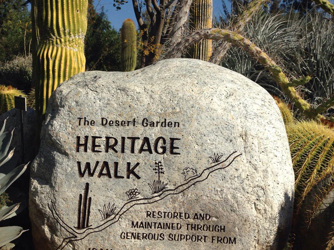 The Huntington Desert Garden-圣玛利诺必去景点