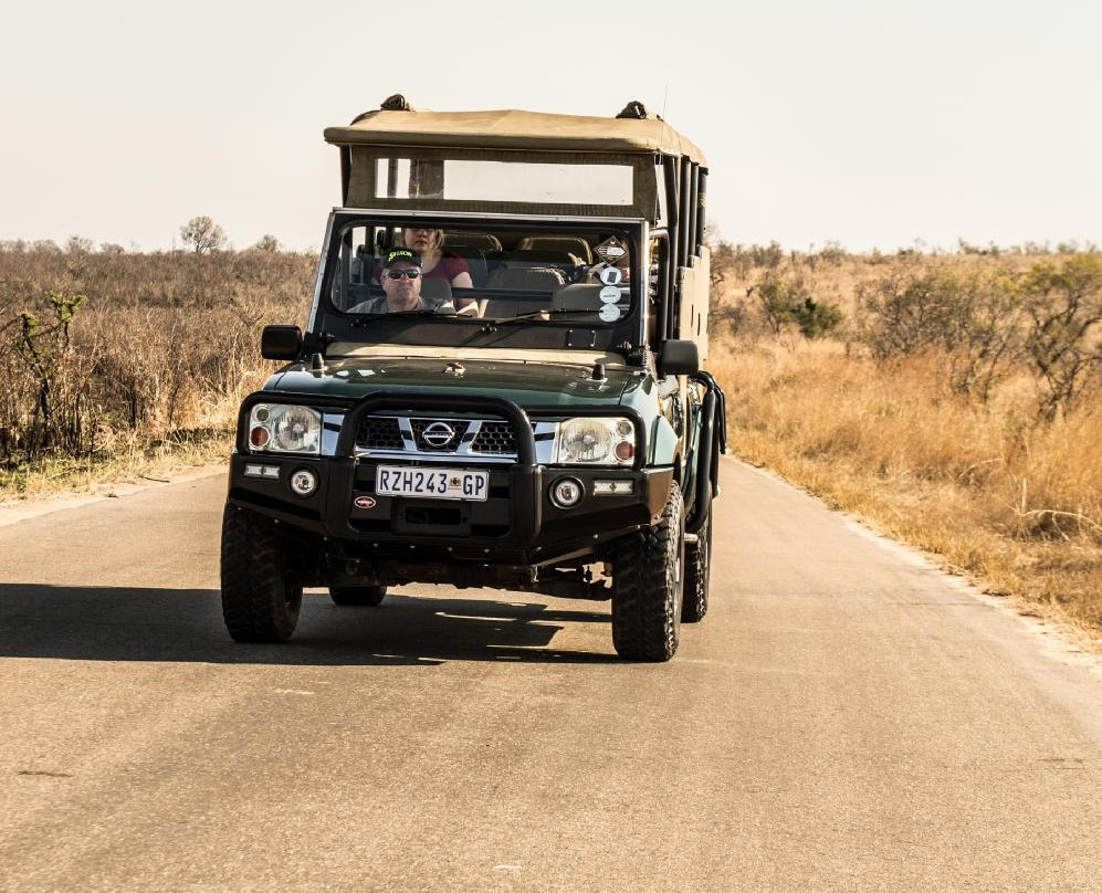 Nhongo Safaris-克鲁格国家公园必去景点