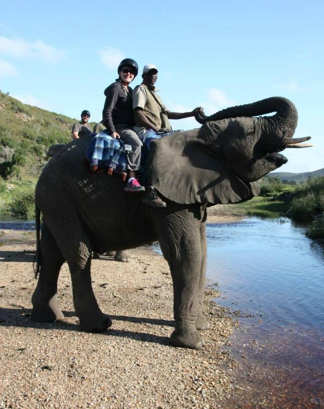 Botlierskop Private Game Reserve-莫塞尔贝必去景点