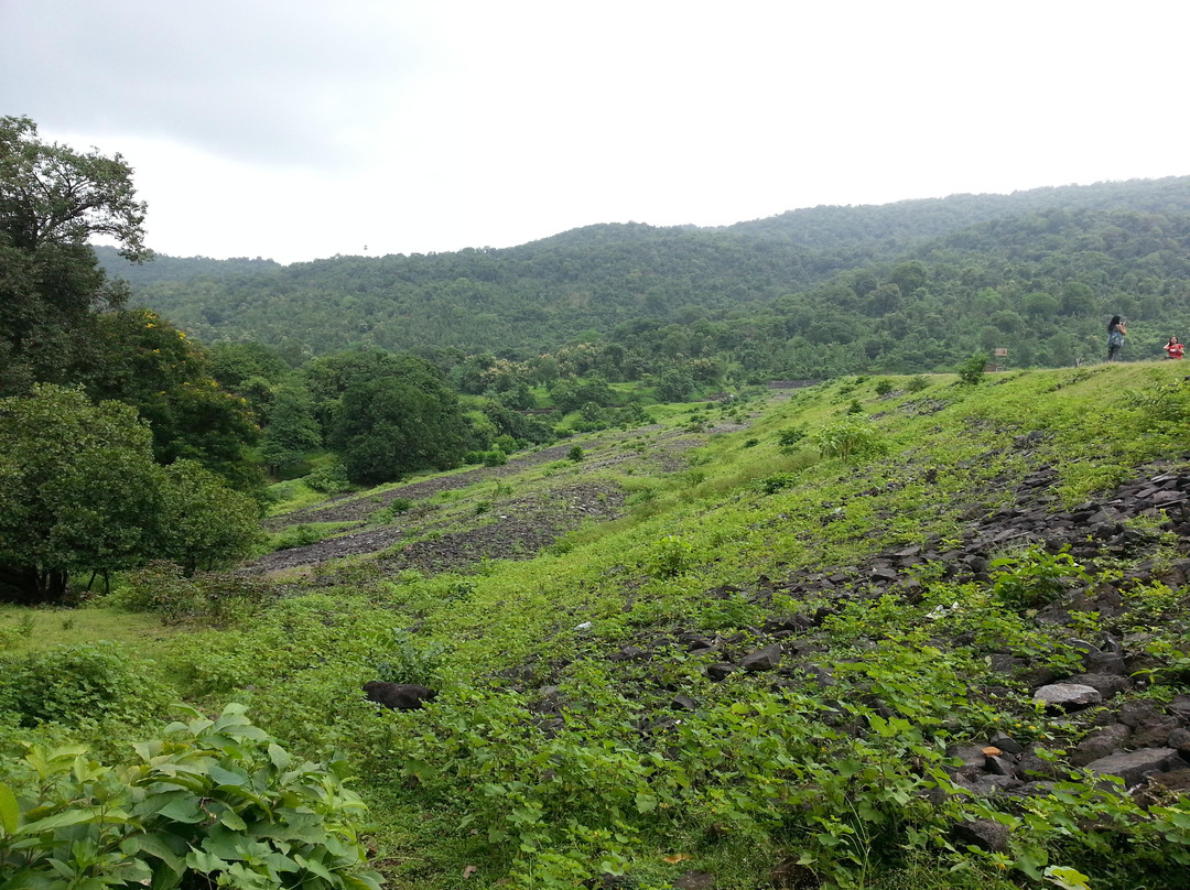 Aswali Dam景点图片