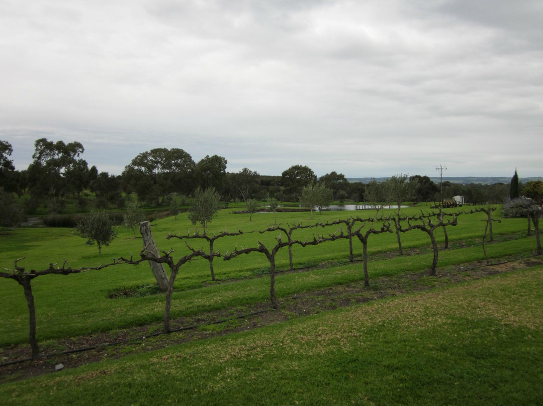 Lloyd Brothers Wine-麦克拉伦谷必去景点