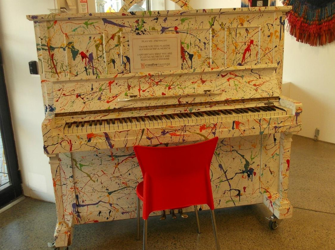 Tauranga Art Gallery景点图片