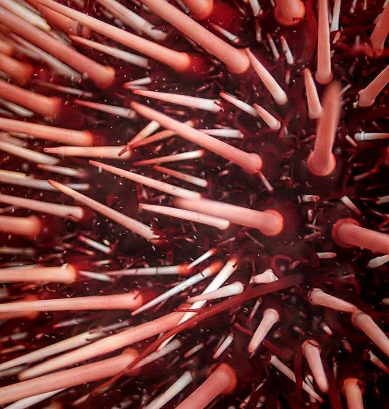 Hatfield Marine Science Center-纽波特必去景点