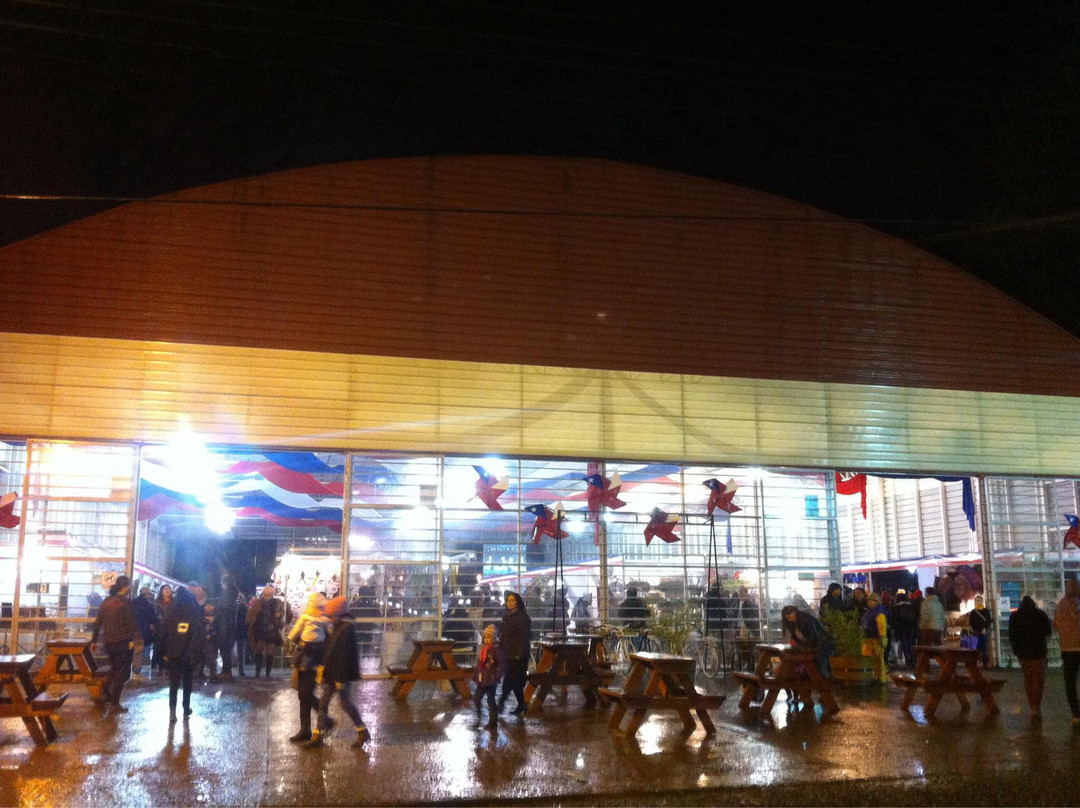 Parque Saval-瓦尔迪维亚必去景点