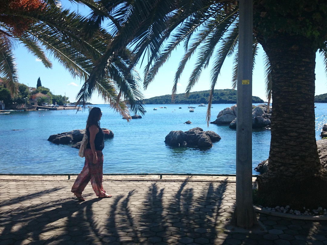 Dubrovnik Top Tours景点图片