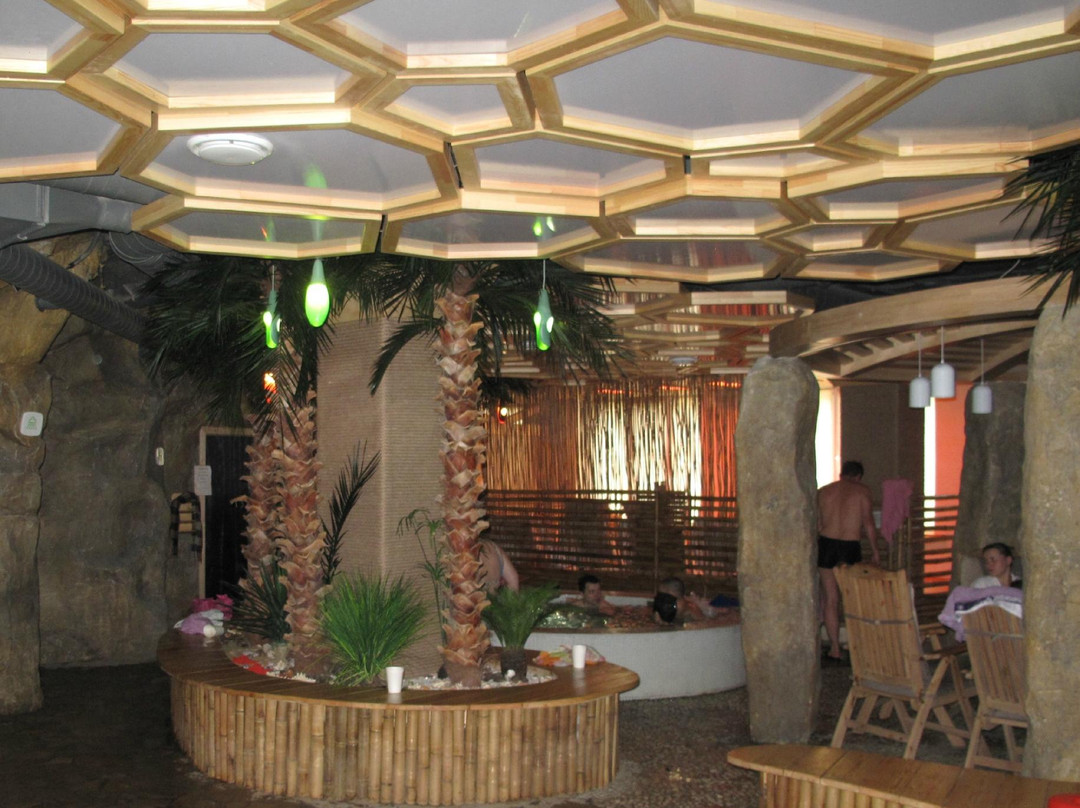 Mira Health Center-新西伯利亚必去景点