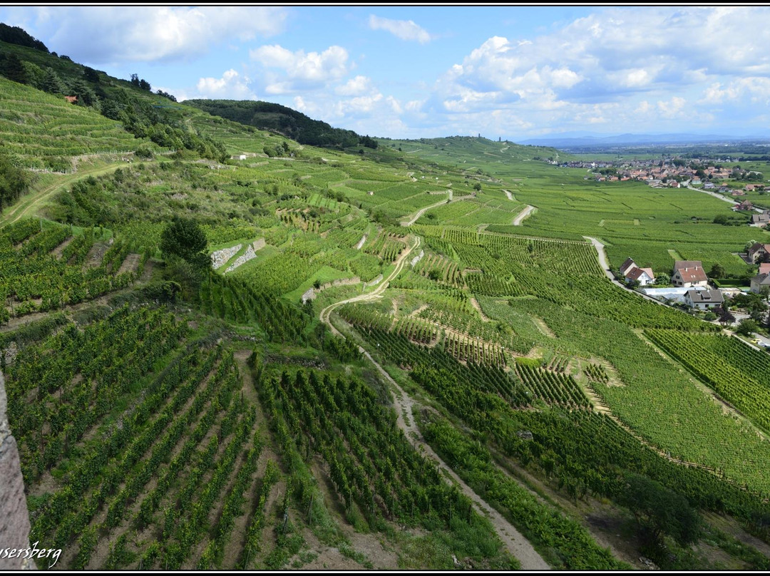 Château de Kaysersberg景点图片