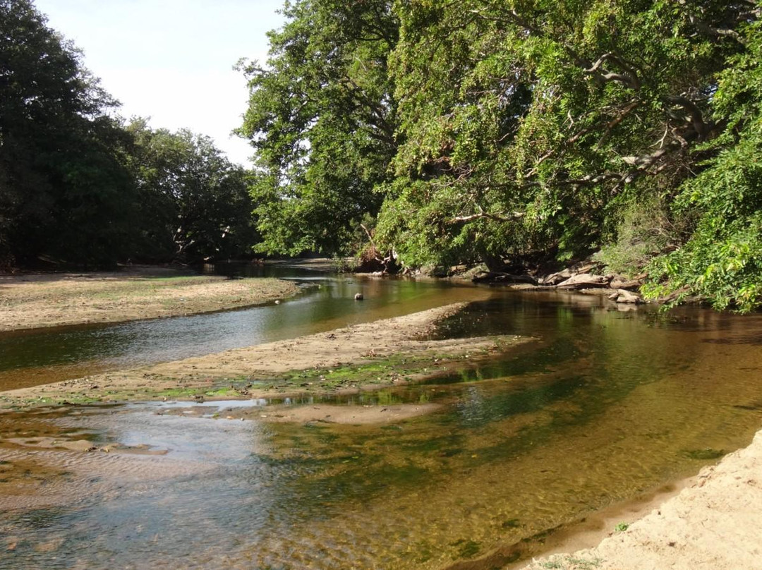 Yala Green Safari Tours-蒂瑟默哈拉默必去景点