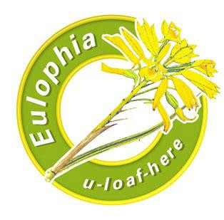 Eulophia Tours and Travel - Day Tours-德班必去景点