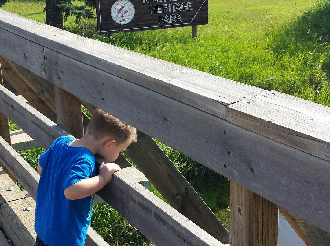 Vegreville Pysanka Egg-韦格勒维尔必去景点