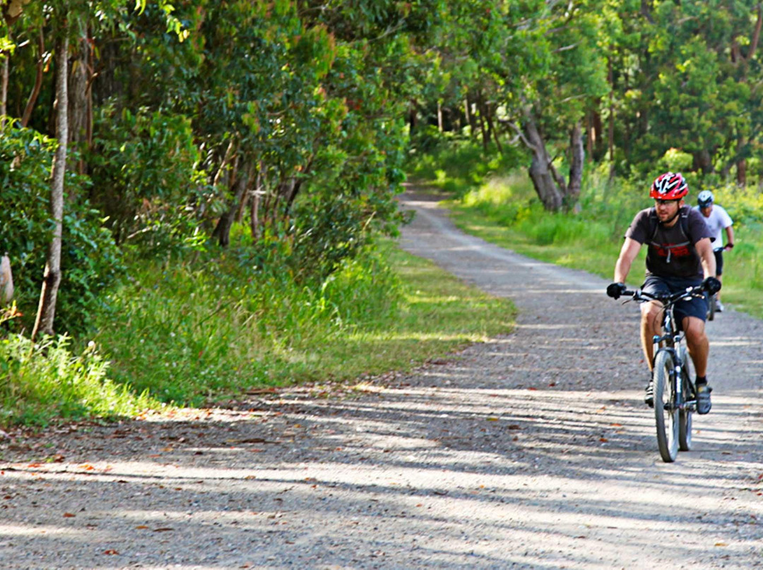 Port Stephens Mountain Bike Adventures景点图片