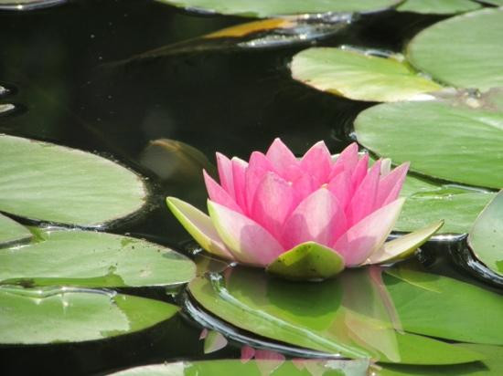 Jardins de Doris-Matane必去景点