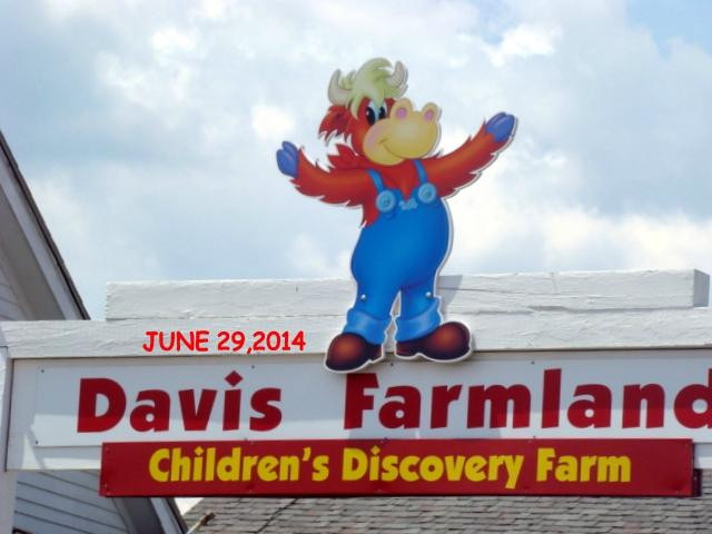 Davis Farmland景点图片