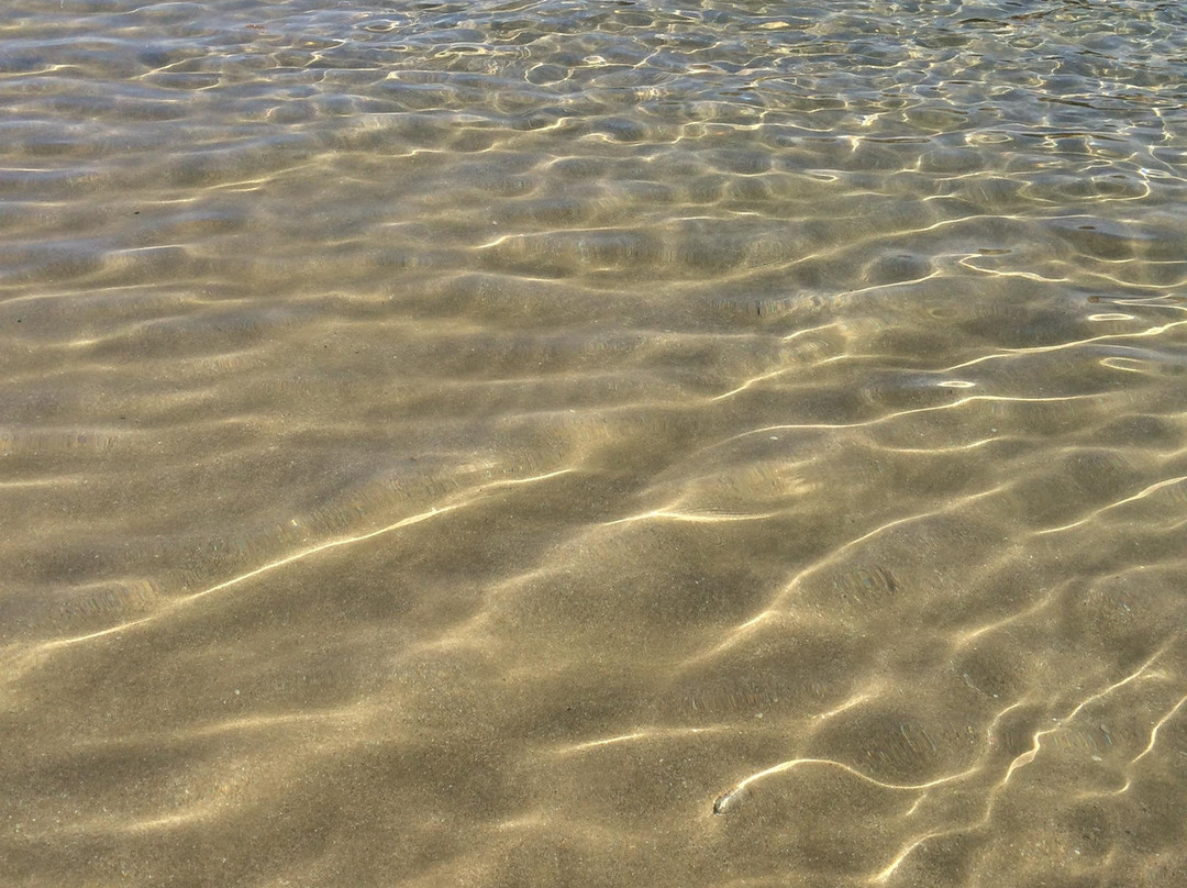 Tenby Castle Beach-腾比必去景点