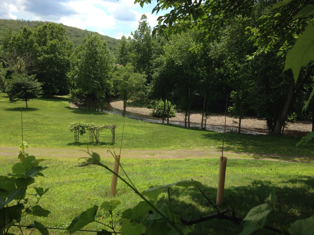 Torne Valley Vineyards景点图片