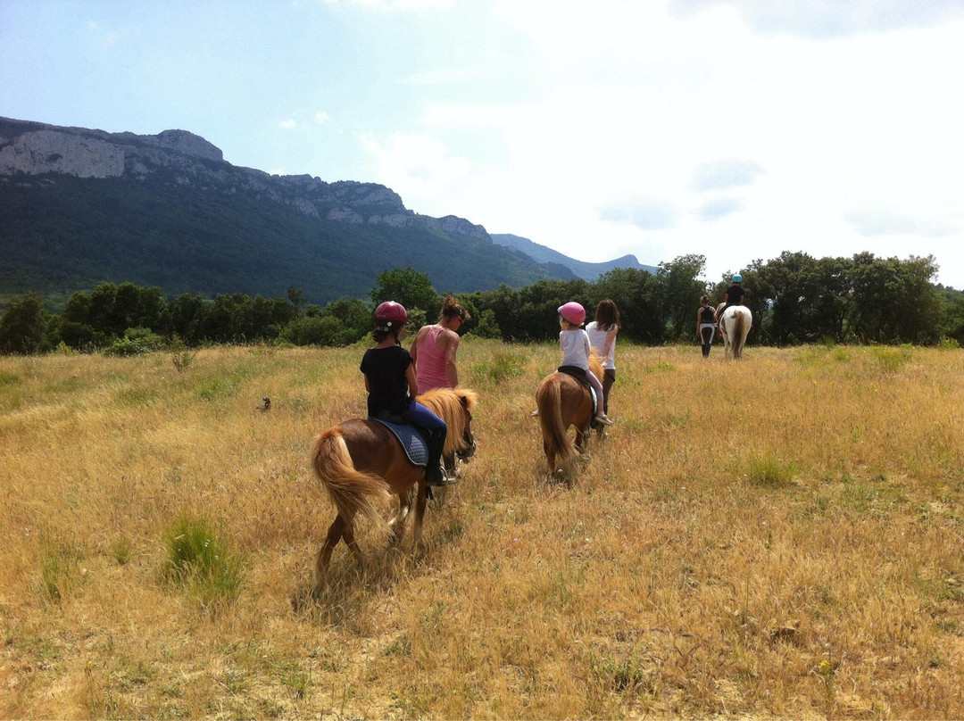 La Ferme Equestre de Rouffiac des Corbières