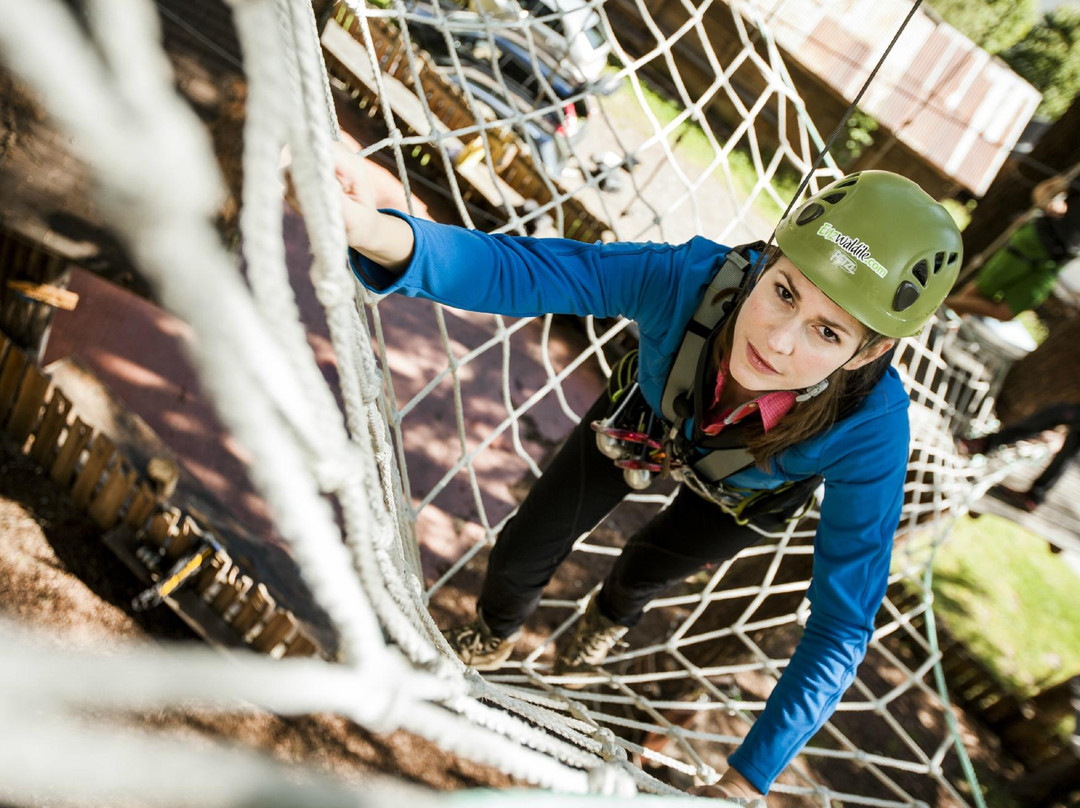 Adventurepark Enzwaldile景点图片