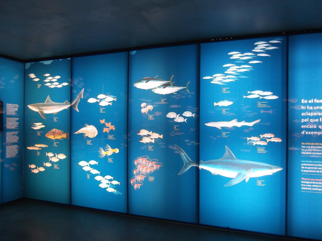 Museu de la Pesca景点图片