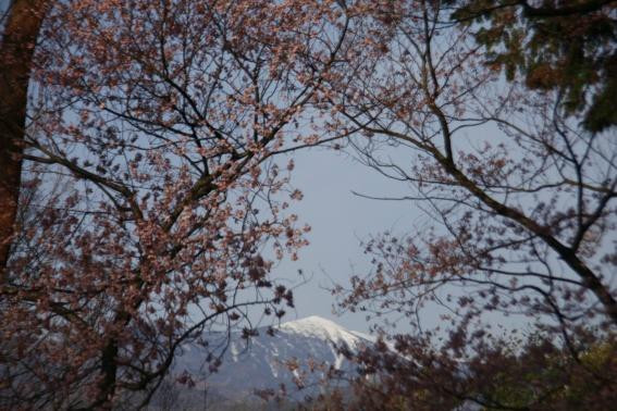 Kasuga Park-伊那市必去景点