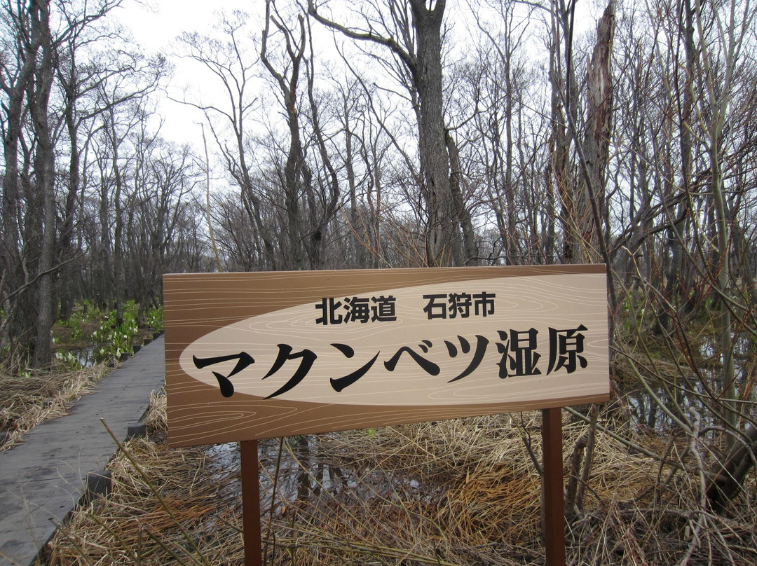 Makumbetsu Marsh-石狩市必去景点
