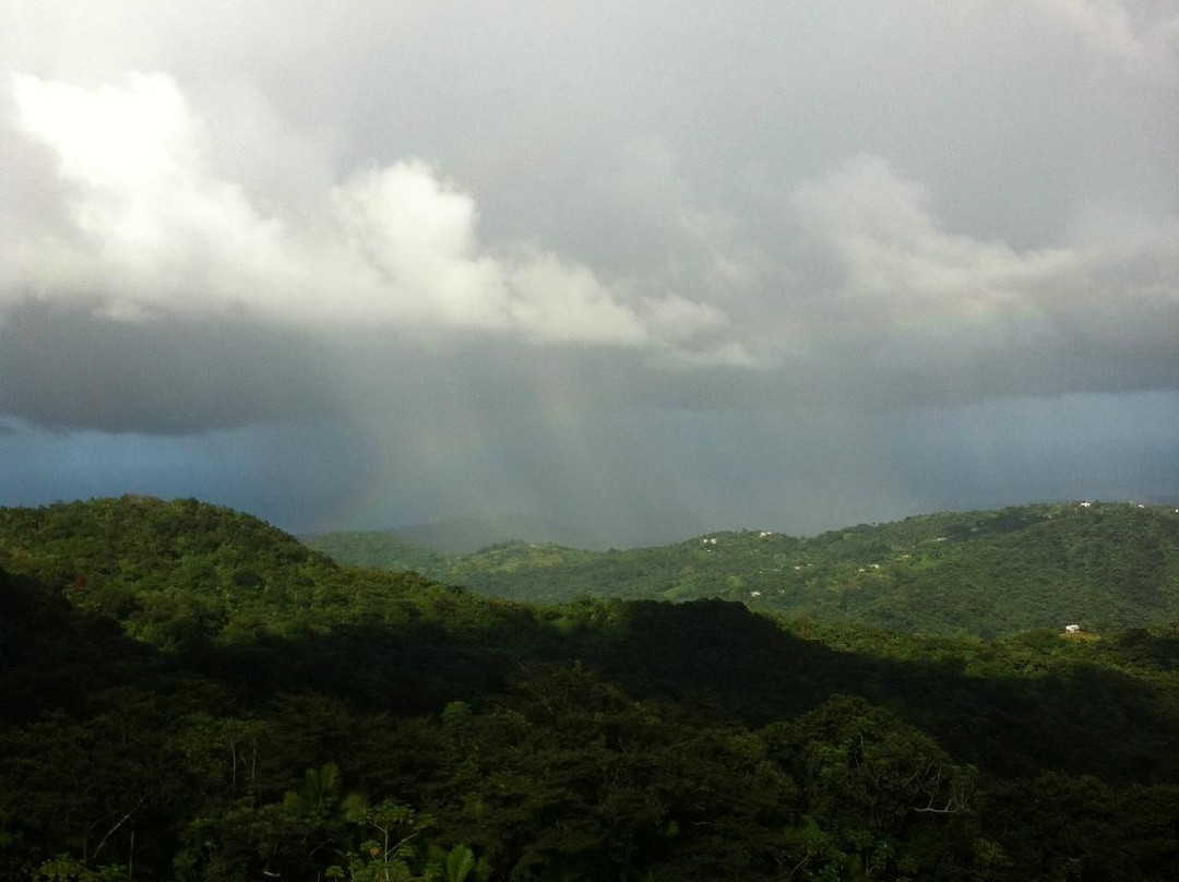 El Toro Peak-云盖国家森林公园必去景点