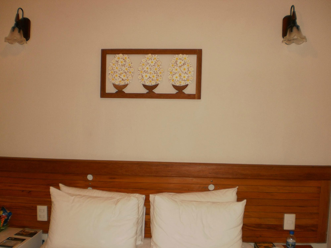 Pousada Monsenhor Vicente主图