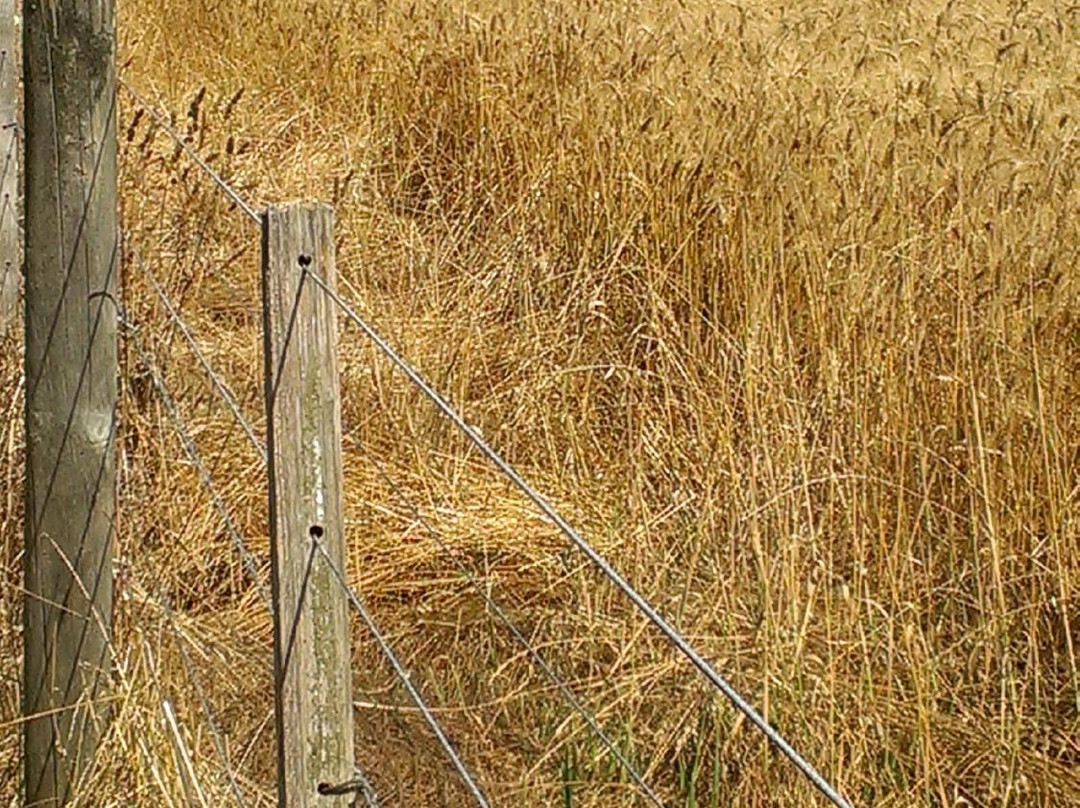 Barwon Park-Winchelsea必去景点