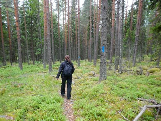 Paijatsalo Trail-Sysma必去景点