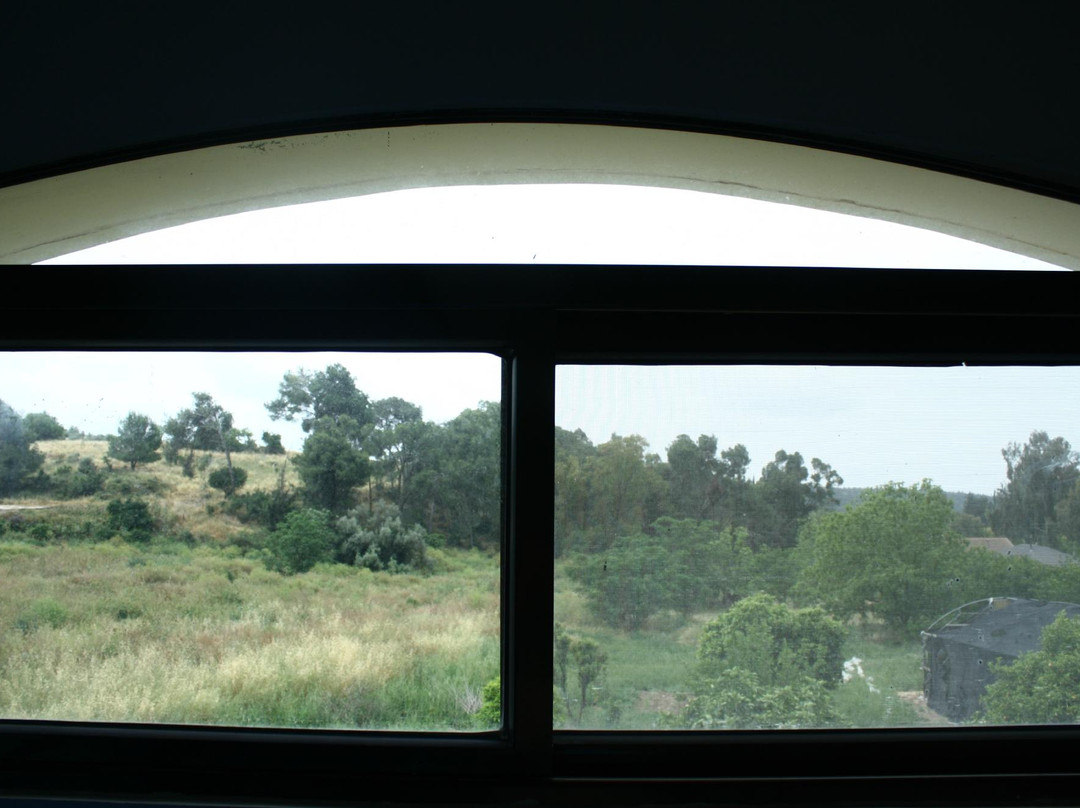 Cactus Tzimmer主图