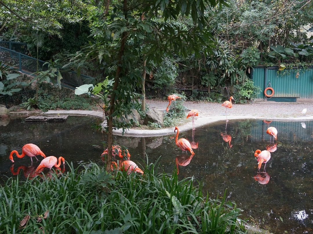 嘉道理农场暨植物园-香港必去景点