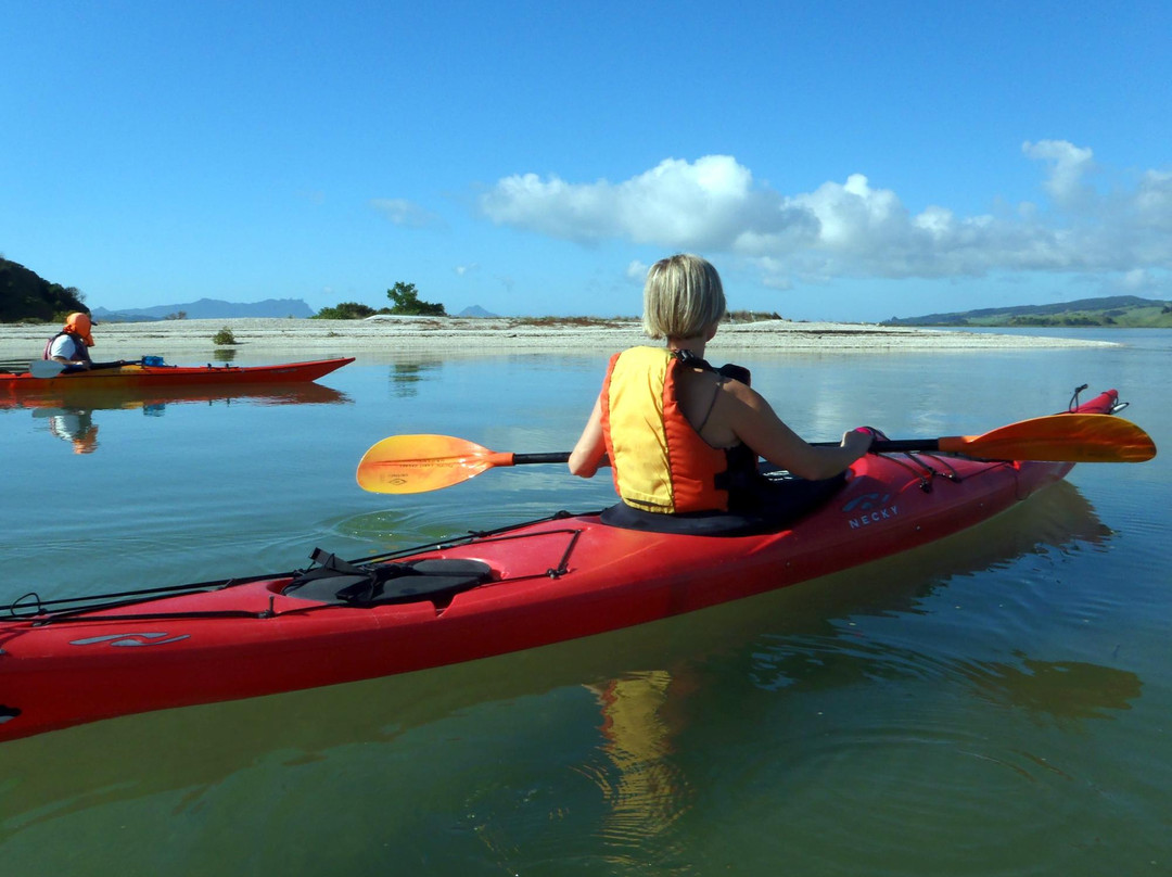 Pacific Coast Kayaks景点图片