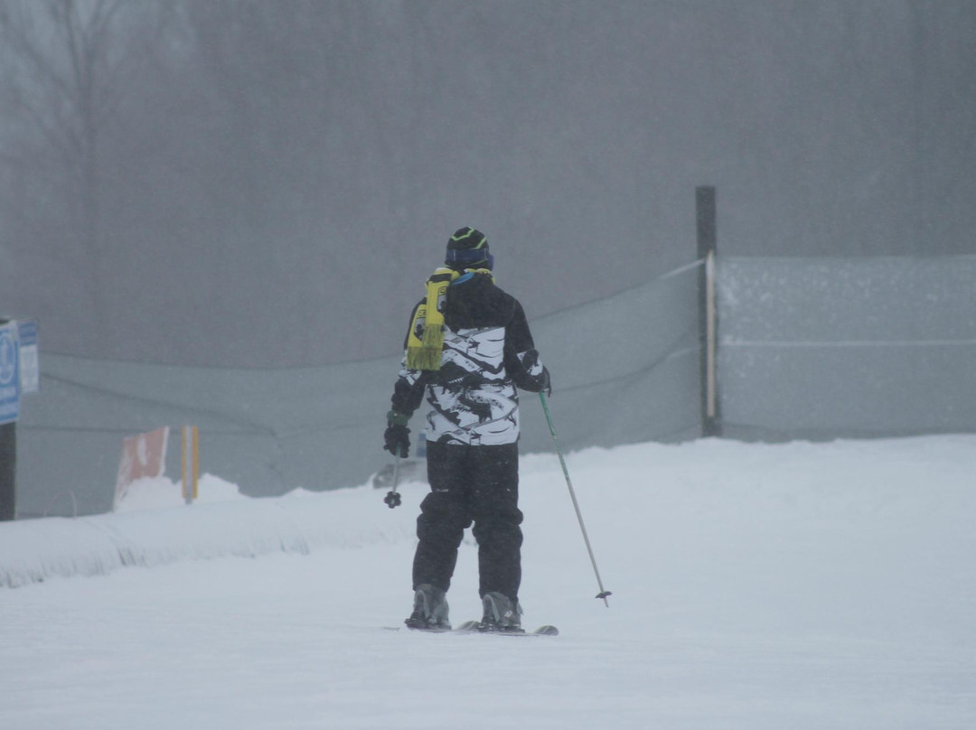 Big Snow Resort-Wakefield必去景点