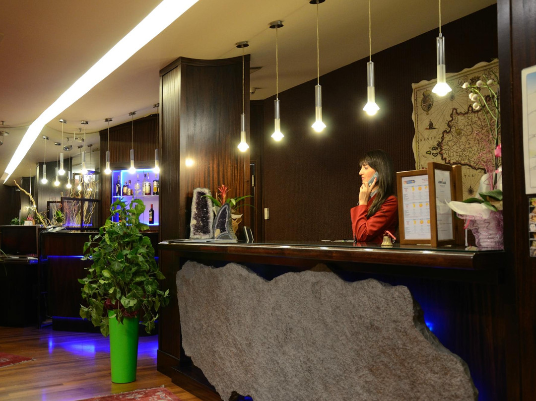 Hotel La Fenice主图