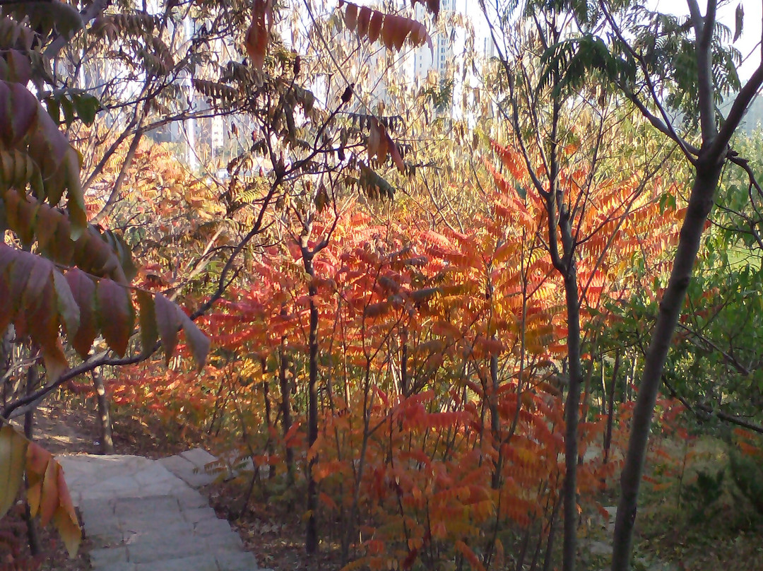 天津南翠屏公园-天津市必去景点